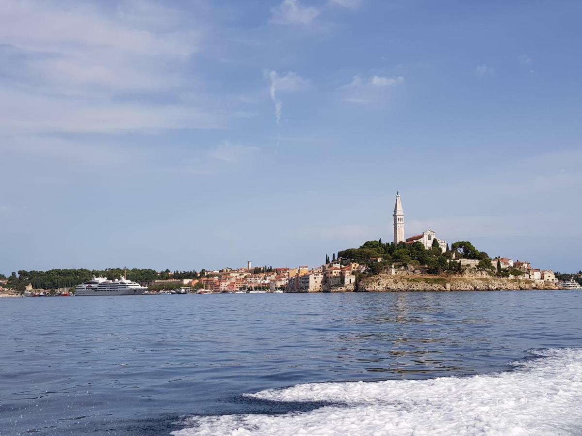 5C Luxury Apartment Rovinj Exteriör bild